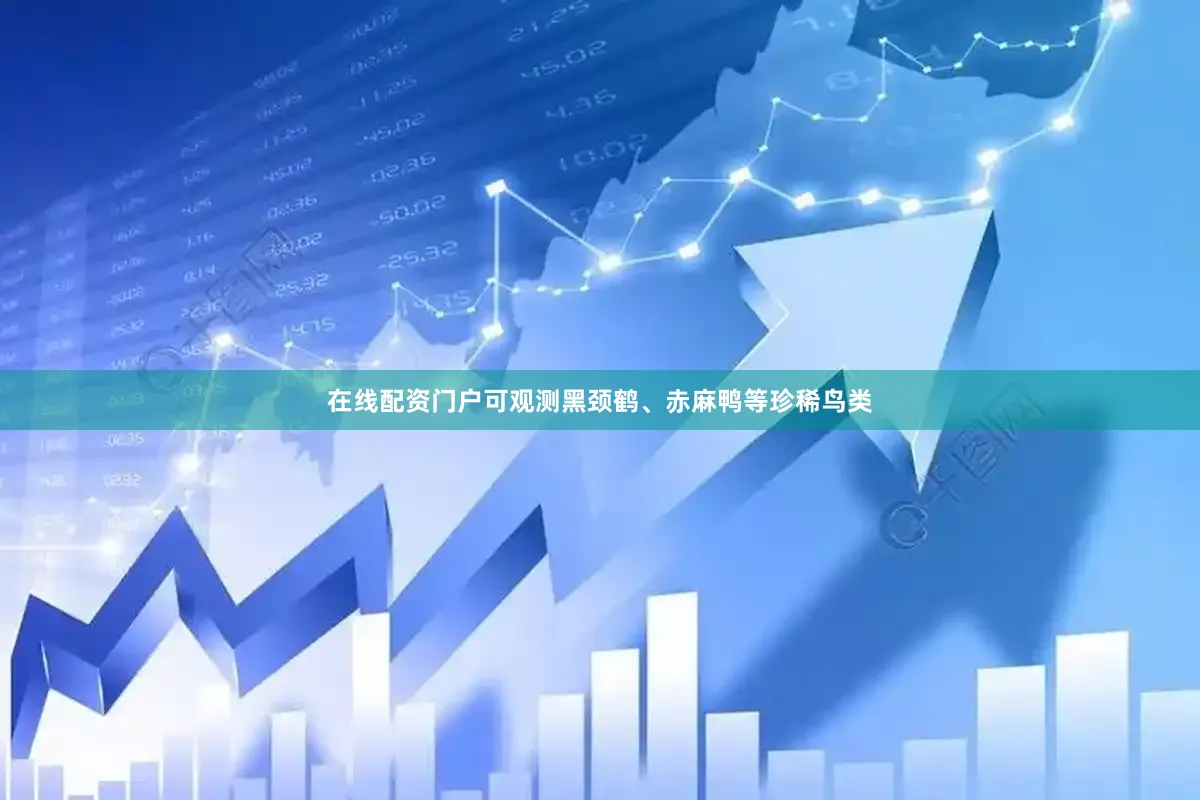 在线配资门户可观测黑颈鹤、赤麻鸭等珍稀鸟类